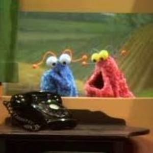 Meet your Posher, Bree